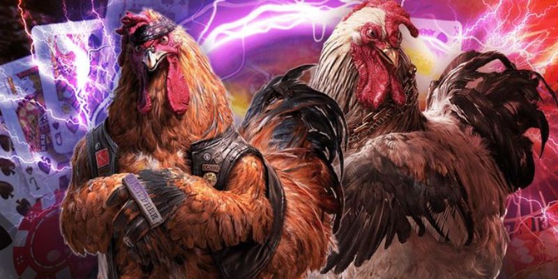 Khám phá những trận đấu đá gà SV388 hot nhất