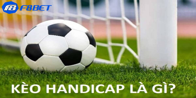 Kinh nghiệm chơi cược không bao giờ thua trong kèo hadicap là gì