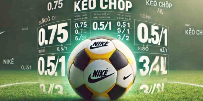 Hướng dẫn chi tiết cách đọc kèo thua một nửa