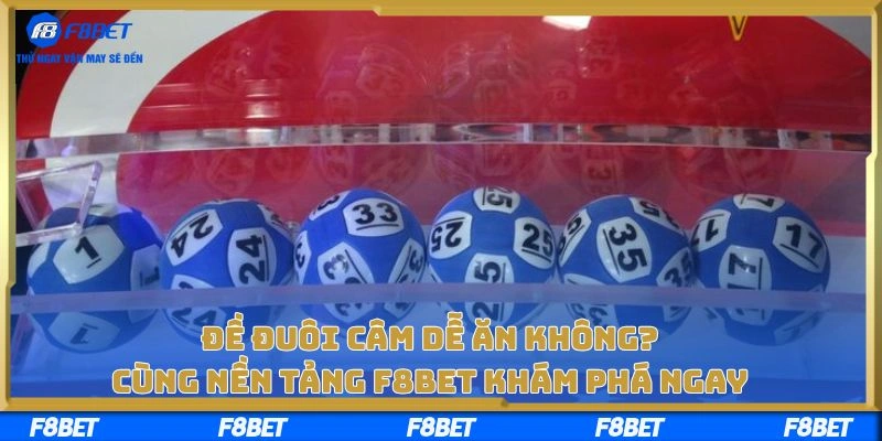 Đề đuôi câm dễ ăn không? Cùng nền tảng F8BET khám phá ngay